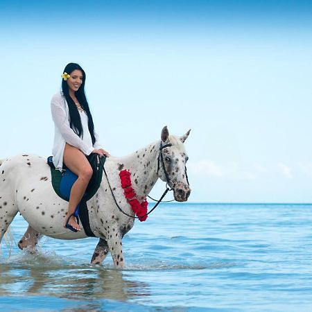ซี คลิฟฟ์ รีสอร์ต แอนด์ สปา Hotel Zanzibar ภายนอก รูปภาพ